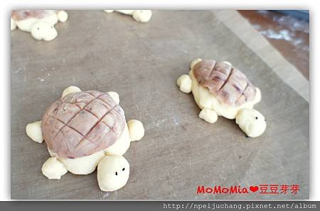 turtle bread_1