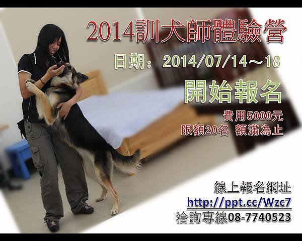 2014訓犬師體驗營開始報名