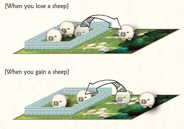 mive sheep.jpg