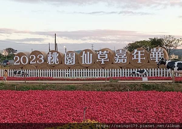 2023桃園仙草嘉年華之花心筆記