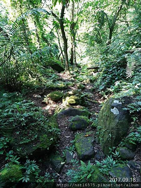 P_20170918_150737_vHDR_Auto.jpg
