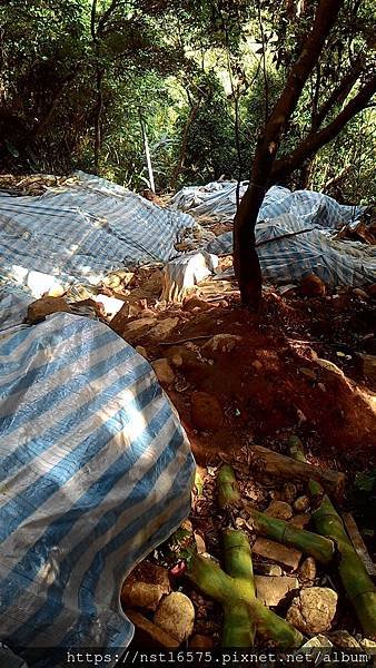P_20181217_131314.jpg