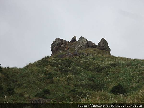 DSC05455.JPG