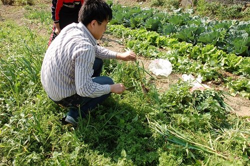 還是要用工具