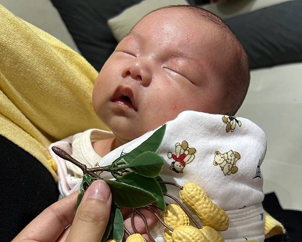 【唯原嬰兒古禮剃胎毛】新北市板橋區｜王寶寶剃胎毛紀錄