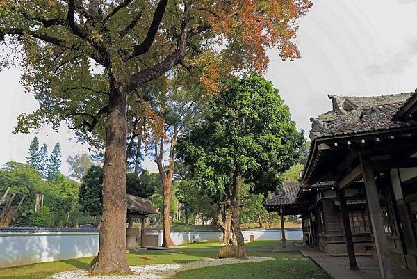 嘉義神社28.JPG