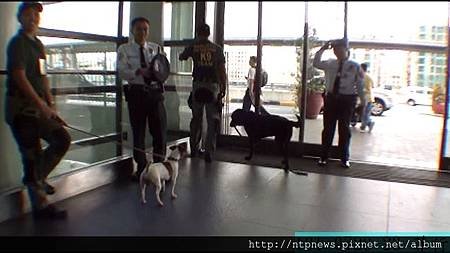 2012-0726馬尼拉機場-4海關人員和緝毒犬