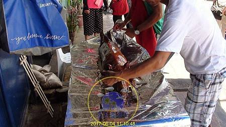 20-2午 Lechon Mang Tomas Native-10.jpg