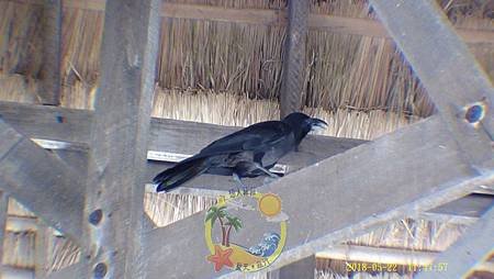 DSC01410.jpg