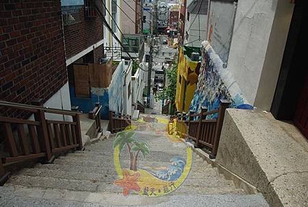 IMGP8100.jpg