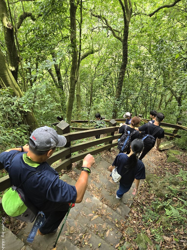 台北士林 - 2025陽明山會師大縱走-絹絲瀑布-擎天崗-風