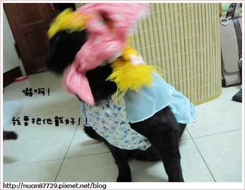 11.JPG