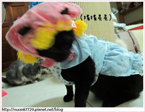 10.JPG