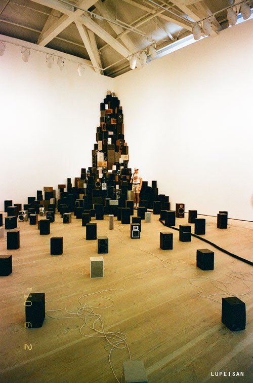 00980031.jpg