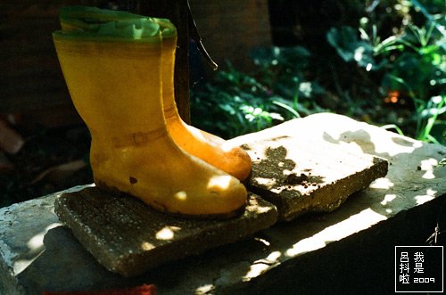 88000034.jpg
