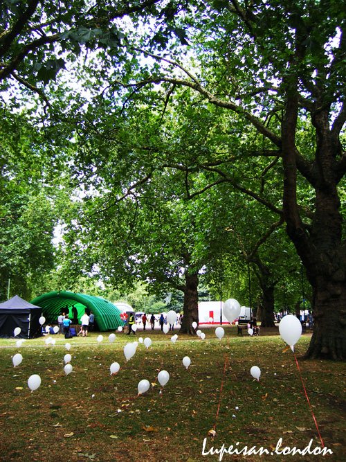 DSCF1483.jpg