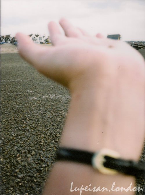 09.jpg