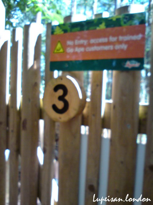 DSC05403.jpg
