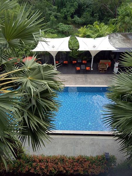 IMG20181201141051.jpg