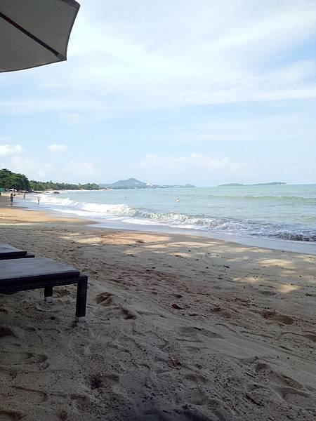 IMG20181201150559.jpg