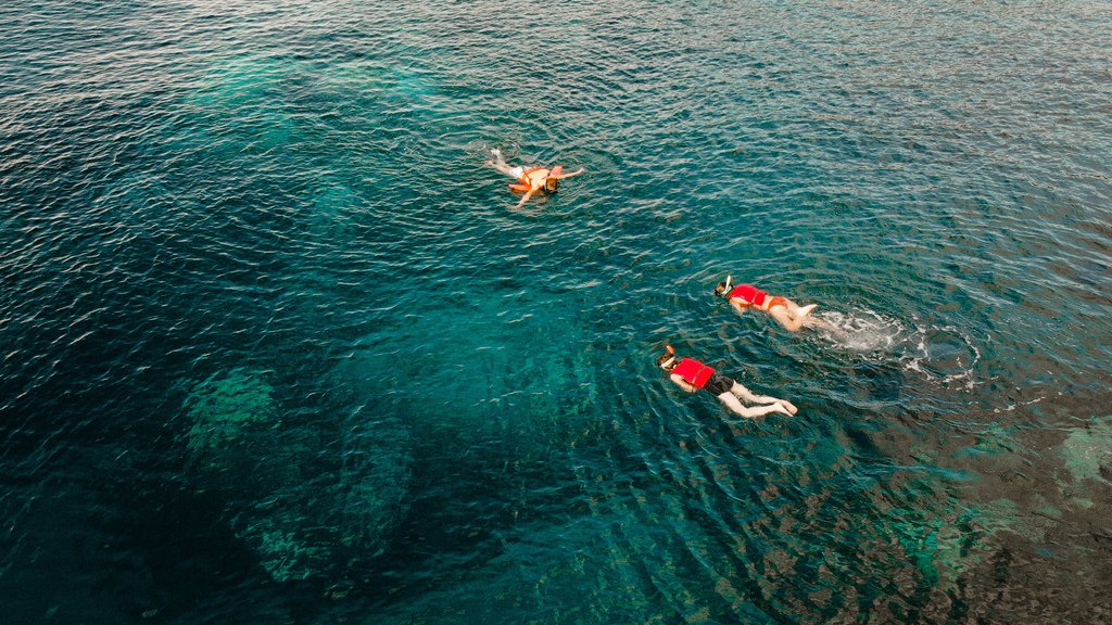 DJI_0201.jpg