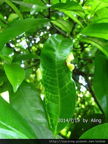 IMG_2615-001