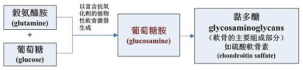 葡萄糖胺合成