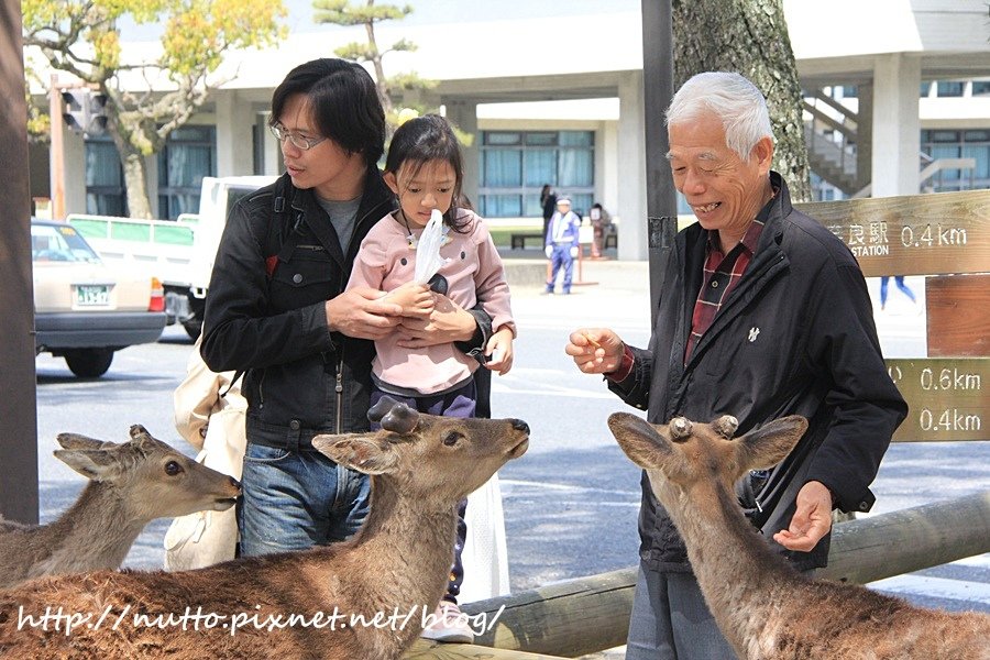 Japan_54.JPG