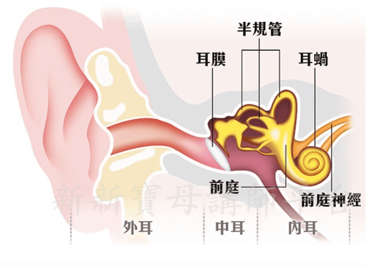 筱茜微信瑜珈照片4