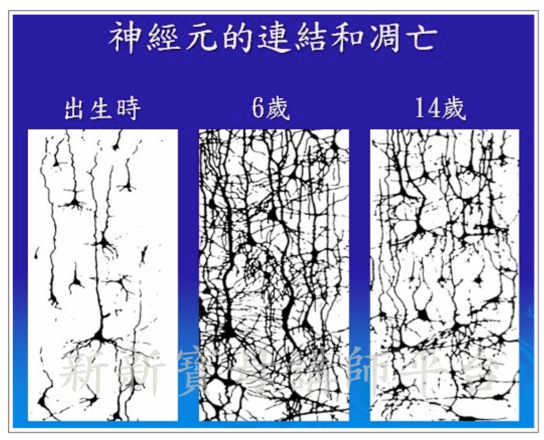 筱茜微信瑜珈照片5