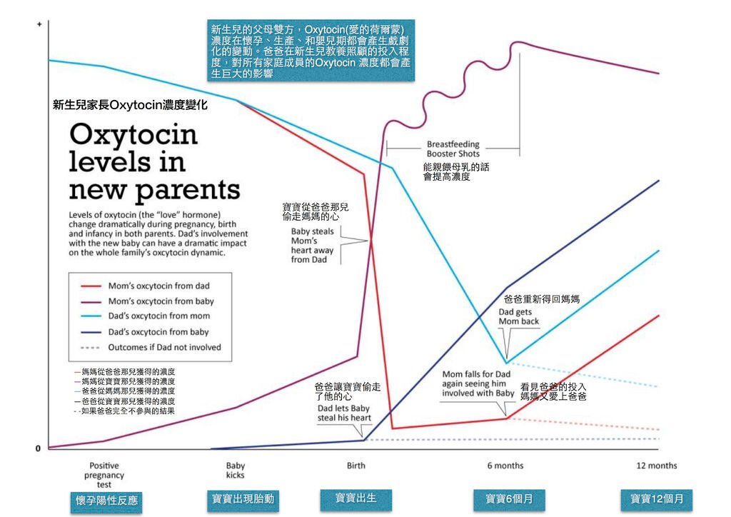 Oxytocin濃度變化表.jpg