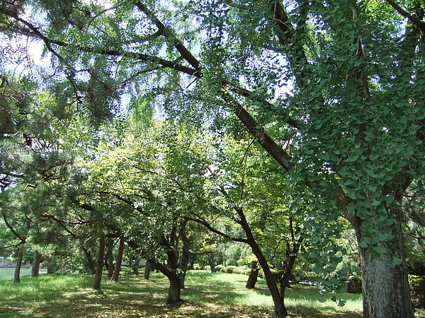 DSCF2071.JPG