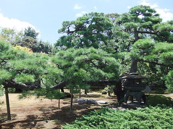 DSCF2055.JPG