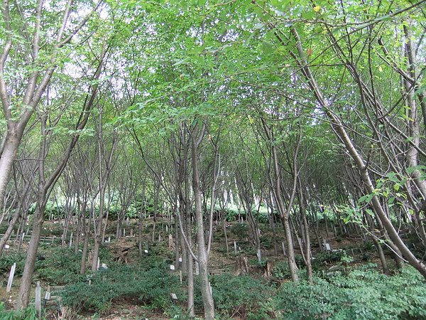 DSCF2151.JPG