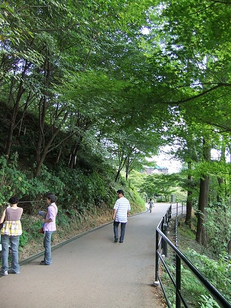 DSCF2156.JPG