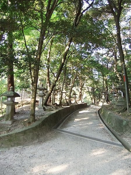 DSCF1876.JPG