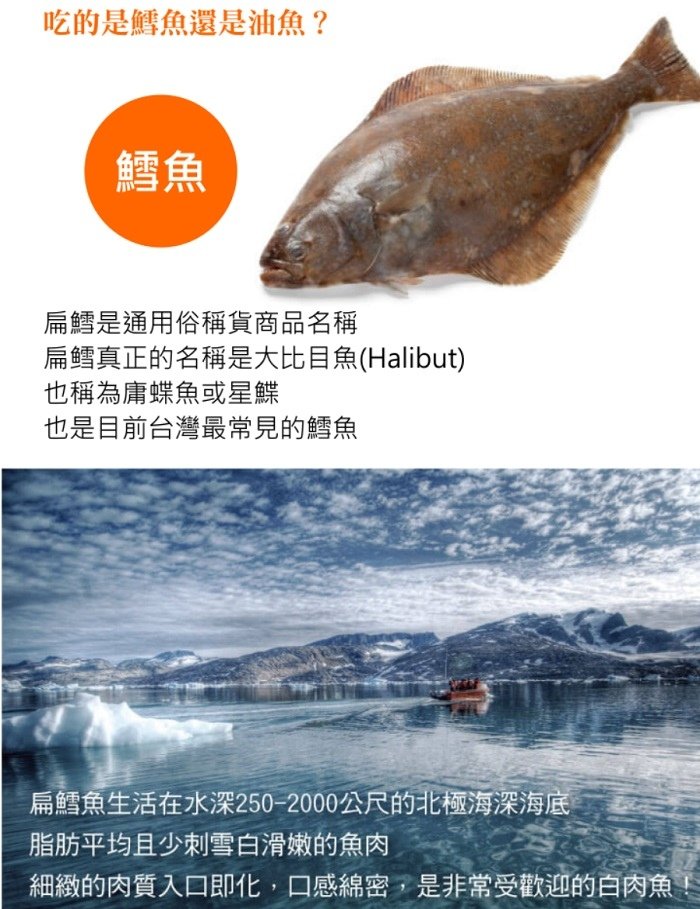 比目魚02.jpg