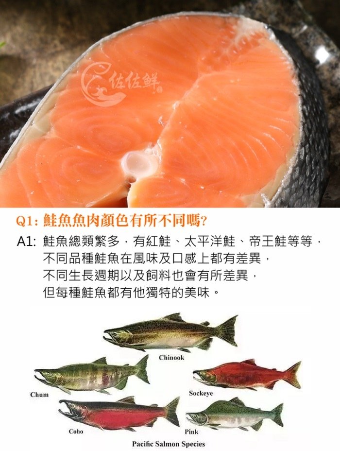 鮭魚02.jpg