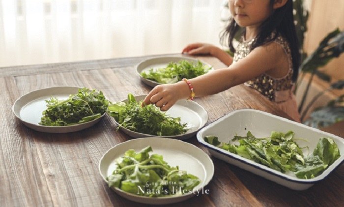 冬季補菜囉! 源鮮無農藥生菜、燉炒適合活蔬菜、等安心蔬果限時