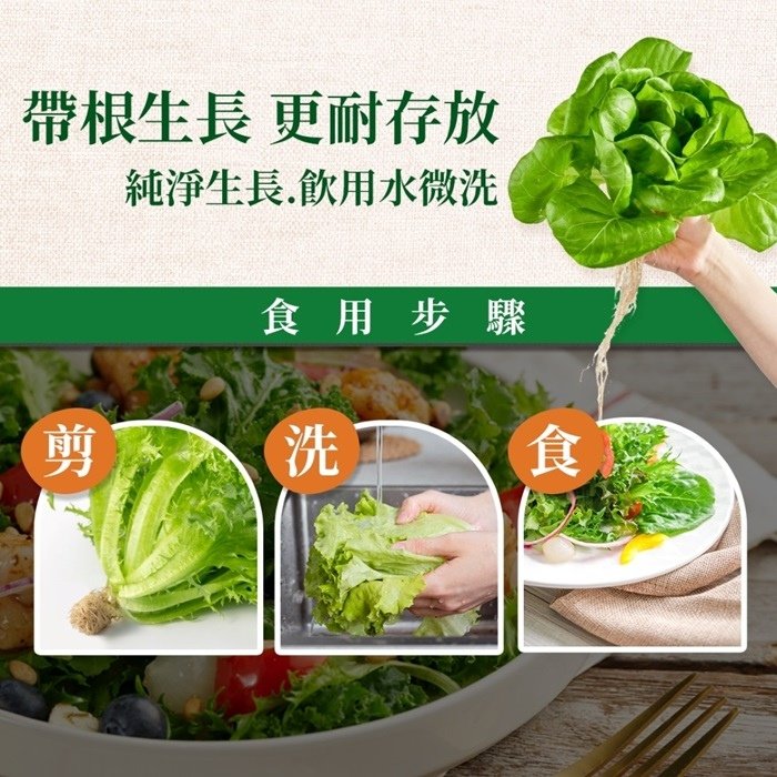 春季補菜囉! 源鮮無農藥生菜&amp;安心蔬果限時團購