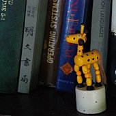 DSC_0208-1.jpg