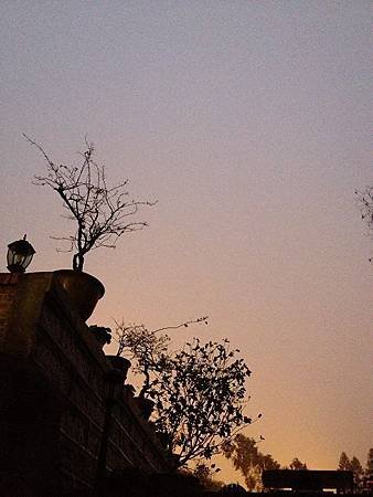 IMG_1921