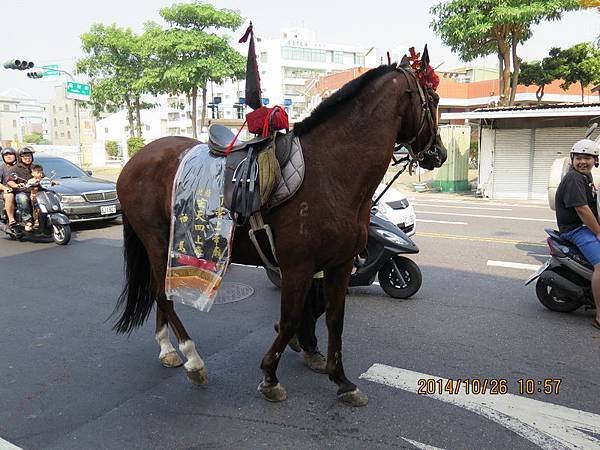 IMG_2773-1