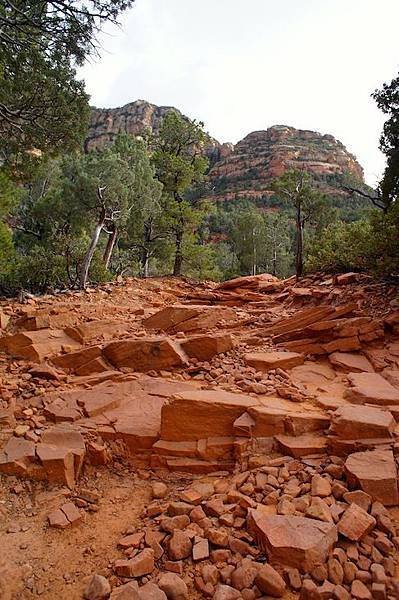 sedona3.jpg