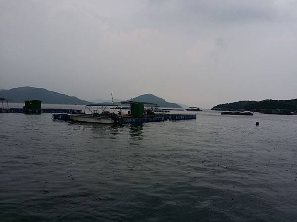 20140803_130646.jpg