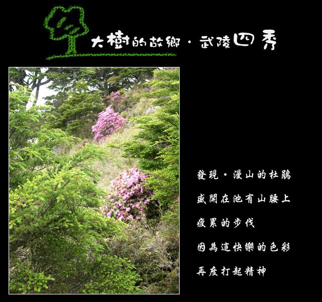 tree-08