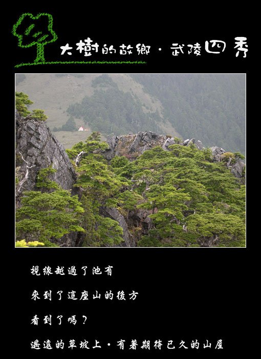 tree-10