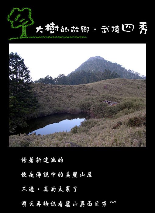 tree-11