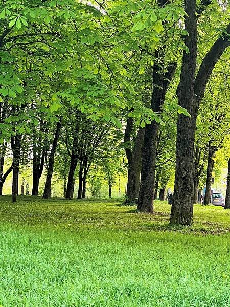 113年4月13日(星期六)盧森堡聖彌額爾教堂輕軌晚餐113