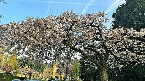 113年4月13日(星期六)盧森堡聖彌額爾教堂輕軌晚餐113